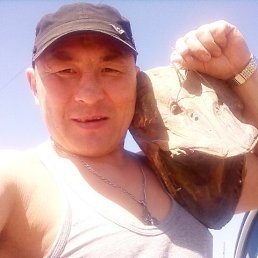 �������, ������, 50 ���