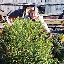 ���� ���������, �����������, 63 ���� - ��������� 22 ������ 2018