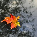���� Aleksa, ������, 30 ��� - ��������� 17 ������� 2018 � ������ ������ ��������