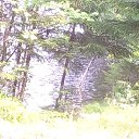 ���� ��������, ������, 49 ��� - ��������� 28 ���� 2018 � ������ ���� ����������