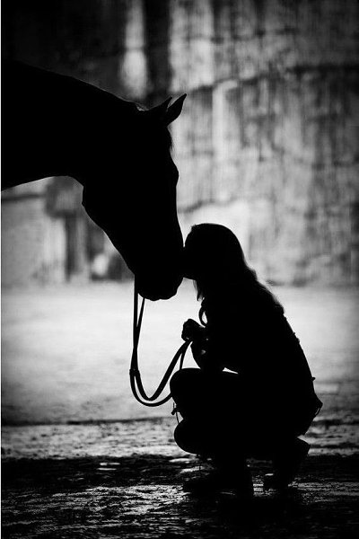 .................     -  ............    Ĩ  ...