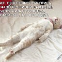 ���� Elena, ������ - ��������� 2 ������� 2018 � ������ ���� ����������