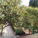 ,,25.02.19.10.45.        ,25.02.19.