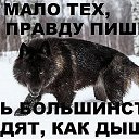 ���� ������, ������ - ��������� 1 ������� 2018 � ������ ���� ����������