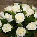 ���� ������, �����-��������� - ��������� 20 ������� 2018 � ������ ������ ��������