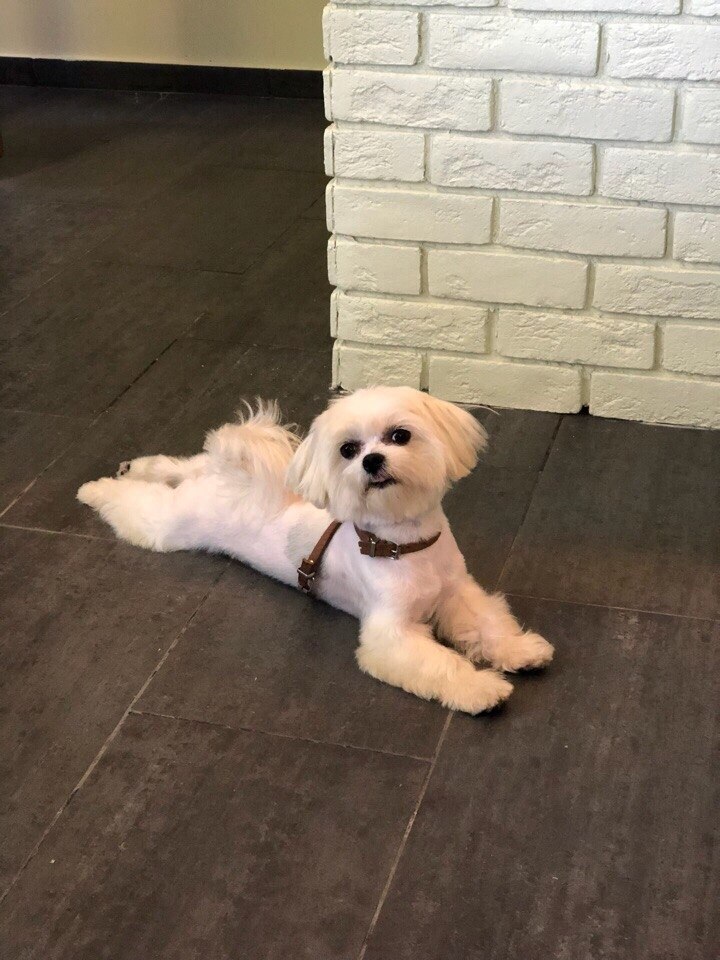   ?