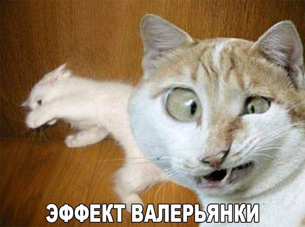   :3 - 5  2018  19:44
