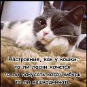  , , 49  -  5  2019   ...  )