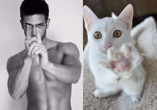 Мужчины и коты. Мы затрудняемся сказать, кто здесь круче! - 7