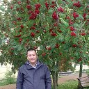  , --, 46  -  22  2018    