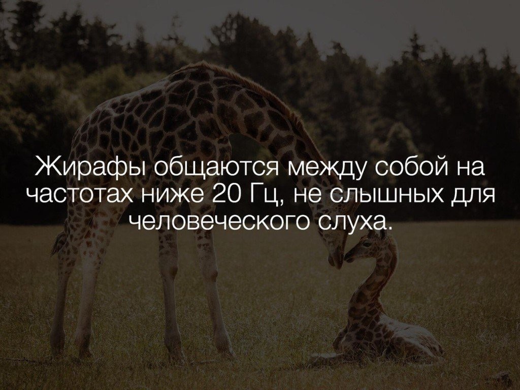  :    - 12  2018  16:56