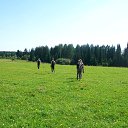 ���� �������� ���� ����������, ��������, 72 ���� - ��������� 29 ������� 2018 � ������ ������ ��������