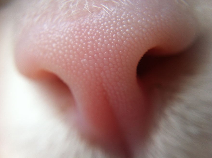       - 8