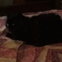  Olga, , 60  -  10  2018    