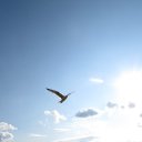  , , 61  -  22  2018    2018