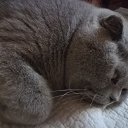 ���� �����, ������, 64 ���� - ��������� 27 ������ 2019 � ������ ���� ����������