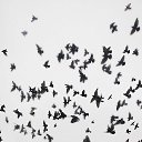  , --, 48  -  6  2018    