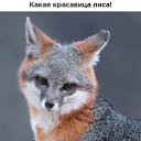  ,  -  25  2019    