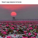 ���� �������, ��������� - ��������� 4 ������� 2019 � ������ ���� ����������