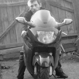 �����, ����������, 43 ����