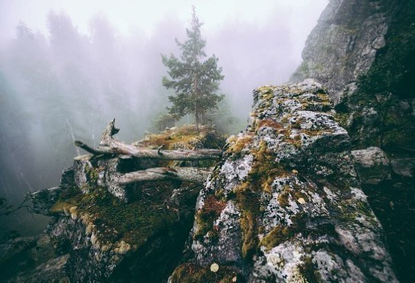 Учёные пришли к выводу, что природа Урала лучшее место чтобы подумать о том, куда катится ваша ... - 3