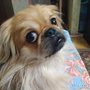 ���� ������, ������, 53 ���� - ��������� 14 ������ 2019 � ������ ���� ����������