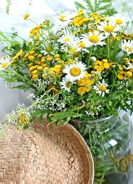 -    .... , , ...  ,   ...