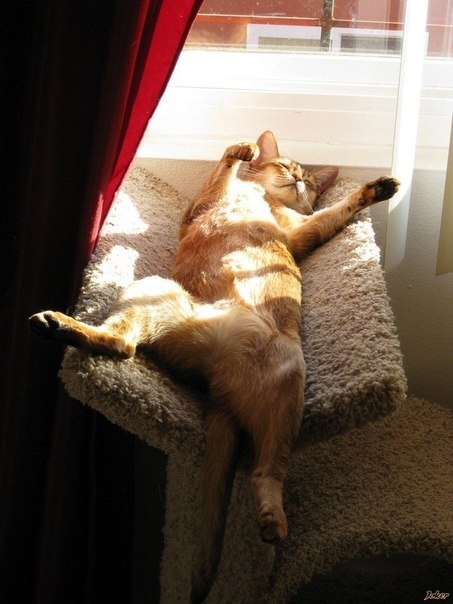 Relax time