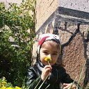 ����� � ������������ �� ������� ���� ����������