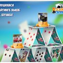 ���� �����, ������ - ��������� 23 ������ 2019 � ������ �������� �������-�������