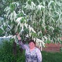 ���� �����, �������, 61 ��� - ��������� 15 ������� 2019