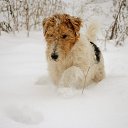 ��� � ������. �� ������� ���� ����������