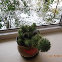 ���� �������, ��������� - ��������� 22 ������� 2018 � ������ ������ ��������