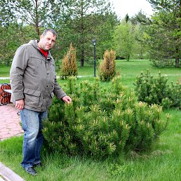 ��������, �����