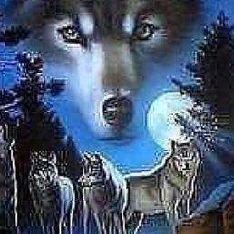 ���� �����, �����������, 57 ��� - ��������� 22 ������� 2018