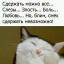 ���� �������, ���������� - ��������� 23 ������ 2019 � ������ ������ ��������