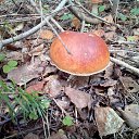 ���� �������, ������������ - ��������� 28 ������ 2018 � ������ �������