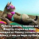 ���� ������, ������, 55 ��� - ��������� 15 ������� 2019