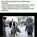 ���� ����, �����, 51 ��� - ��������� 22 �������� 2018