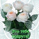  , , 49  -  9  2019   Roses