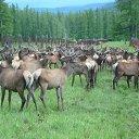  , -, 64  -  9  2019   - 