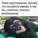 ���� D, ������������, 42 ���� - ��������� 17 ����� 2019 � ������ ������ ��������