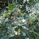 , ,04.11.18.8.20.    - 2018