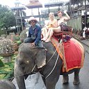  Tanya, , 65  -  17  2019    2019