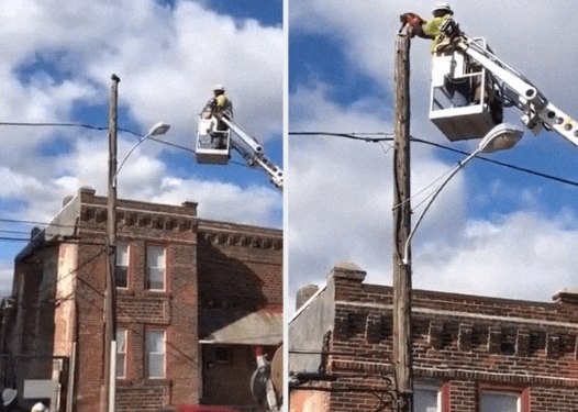 #@catism.     ,        . ...