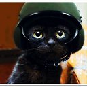  /\/\Il@,  -  16  2019    