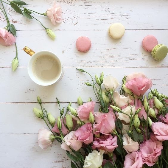 -      .           , ...