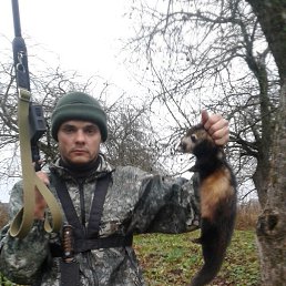 ���� �������, ��������, 39 ��� - ��������� 11 ������� 2019