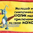  ϸ, , 49  -  7  2018    