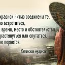  Testardo, , 44  -  27  2019    